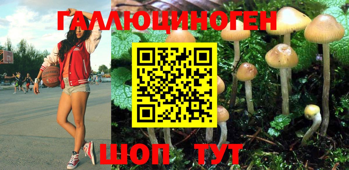 Галлюциногенные грибы мицелий Рязань