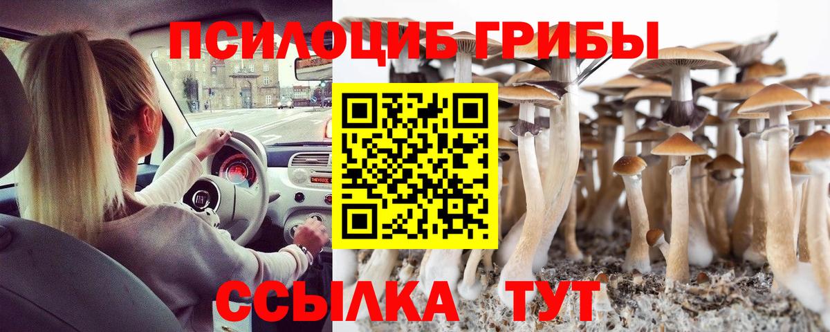 Рязань  Галлюциногенные грибы мицелий  Псилоцибиновые грибы мухоморы  Вход с VPN 